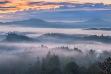 Naklejka na ściany i meble foggy morning over the national park Bohemian Switzerland, Czech Republic