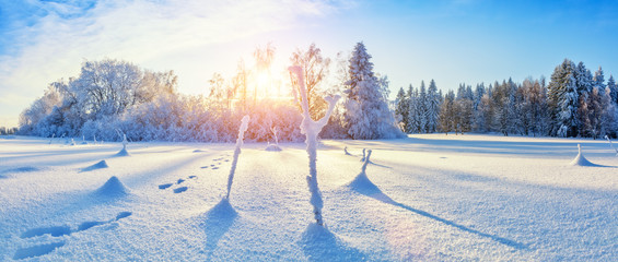 Beautiful snowy landscape panorama with forest on background