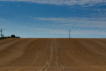 Wallington Hertfordshire England