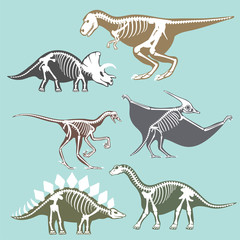 Fototapeta na wymiar Dinosaurs skeletons silhouettes set fossil bone tyrannosaurus prehistoric animal dino bone vector flat illustration.