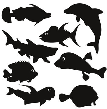 silhouette of fish collection