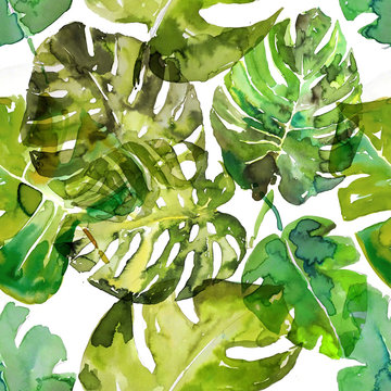 Watercolor monstera palm leaves seamless pattern. hand drawn illustration