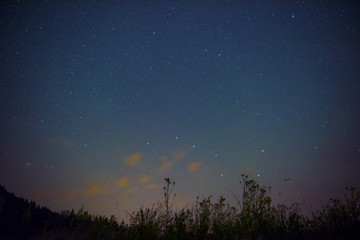  Starry sky with constellation of the Great Bear