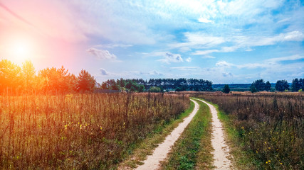 Fototapeta na wymiar Summer country road and fields on background of blue beautiful cloudy sky and beautiful forest. Distance of highway. The concept of right way