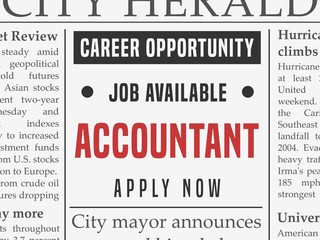 Accountant career