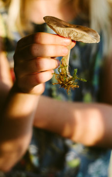 A child holding a recently picked mushroom