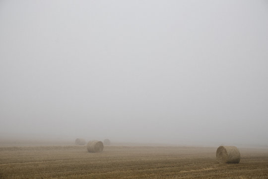 Hay Bales in Foggy England