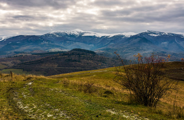 path through hillsides in autumn. landscape of mountain ridge with snowy tops in the distance. gorgeous and unusual countryside scenery in autumn