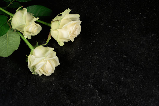 Overhead view of three white roses isolated on dark stone texture background.
Copy space.