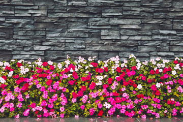 The flowers on the background of the gray stone walls.