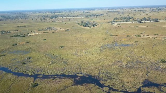 High aerial shot focusing on herd of elephant in the distance traversing watery flood plain Okavango Botswana