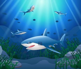 Cartoon shark with Coral Reef Underwater in Ocean