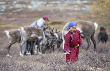 tsaatan nomad boy in northern Mongolia