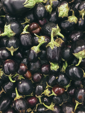 top view of black eggplants