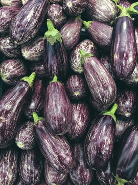 top view of purple eggplants