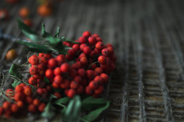 Rowan on a wooden background with a twine.