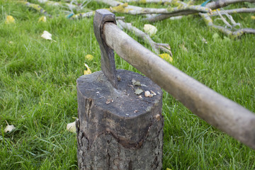 Steel axe with a wooden handle sticking out of the wood on a grass background