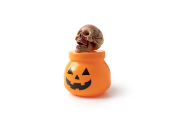 skull with halloween pumpkin mini pot  in isolated