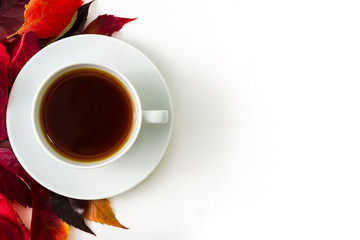 Cup of tea. Top view of a cup of tea with saucer. White background with red autumn leaves. Nice for projects, concepts with empty space for filling.