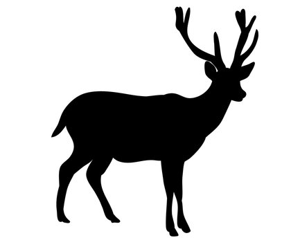 silhouette of a noble deer,