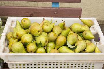 green pears lay in a plastic box, close-up