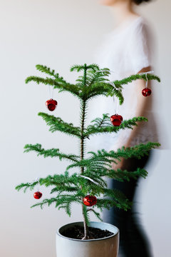 Movement shot of unrecognisable woman walking behind a small Christmas Tree - Vertical