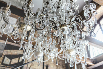 Crystal Chandelier in a Flower Shop
