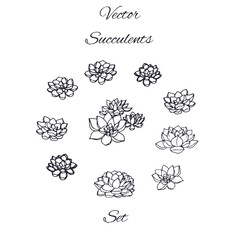 Hand drawn vector succulents contours set isolated on white background. - 175987847