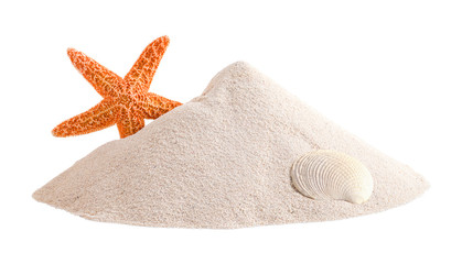 Sand Pile Star Fish and Shell