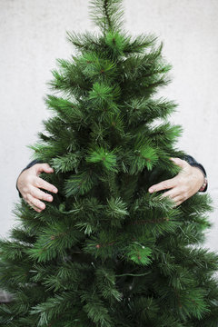 Man hugging Christmas tree