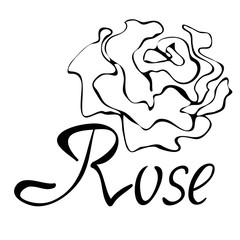 Vector outline logo with rose