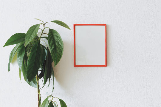 Mock Up Photo Red Frame With Avocado Plant. Home Decor