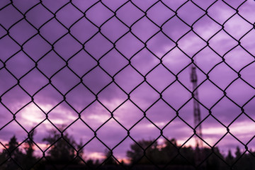 Fototapeta premium Fence texture. Purple sky in the background of mesh.