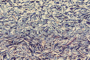 Background of sunflower seeds in the store. Toned.