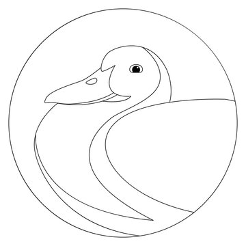 duck vector illustration  line drawing