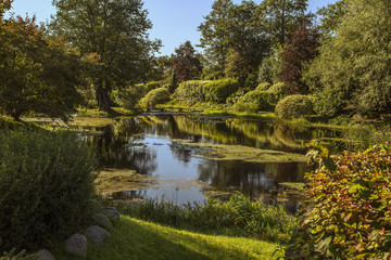 Autumn garden