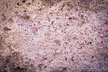 An old real wall texture & colored background