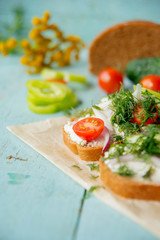Wholesome sandwich with cheese, garden radish -Healthy Eating