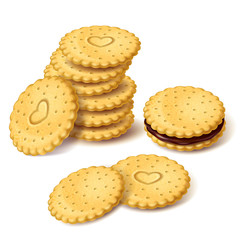 Stack of round biscuit cookies or cracker with heart ornament and cookies sandwich with chocolate cream vector isolated on white background. Ordinary sweets, classic confectionery snack illustration