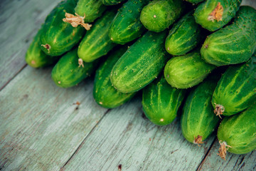 Pile of fresh organic cucumbers on a market