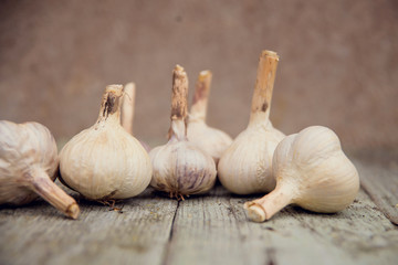 closeup garlic isolated on wooden table