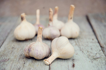 closeup garlic isolated on wooden table