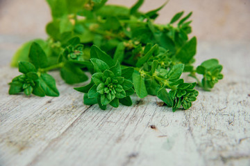 Spinach baby leaves on a white wooden background. copy space