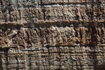 Surface of carbonate rock with weathering structures