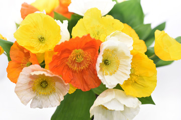 Spring colored flowers Bouquet.