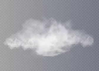 Dekokissen Fog or smoke isolated transparent special effect. White vector cloudiness, mist or smog background. Vector illustration © kume111000