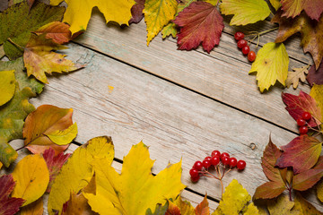 Autumn leaves on wooden boards
