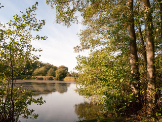 beautiful lake scene outside summer autumn green yellow