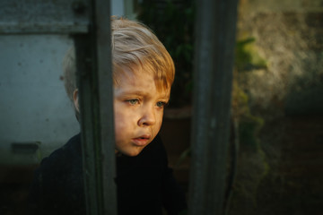 Little girl looking with interest and bewilderment at a bug (unseen) on a glasshouse wall.