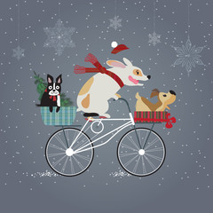 Three cute dogs on bicycle going to holiday party. Happy new year concept. 
Merry Christmas. Holidays greeting card.